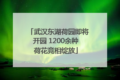 武汉东湖荷园即将开园 1200余种荷花竞相绽放