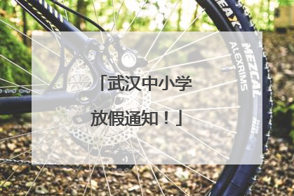 武汉中小学放假通知！