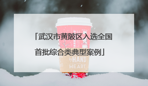 武汉市黄陂区入选全国首批综合类典型案例