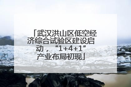 武汉洪山区低空经济综合试验区建设启动，“1+4+1”产业布局初现