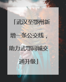 武汉至鄂州新增一条公交线，助力武鄂同城交通升级
