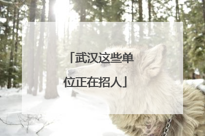 武汉这些单位正在招人