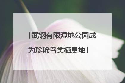 武钢有限湿地公园成为珍稀鸟类栖息地