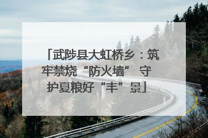 武陟县大虹桥乡：筑牢禁烧“防火墙” 守护夏粮好“丰”景