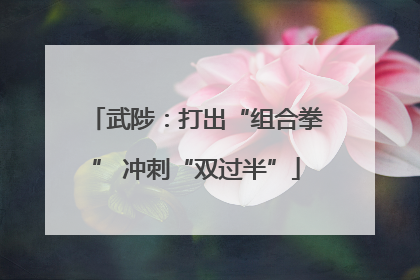武陟：打出“组合拳” 冲刺“双过半”