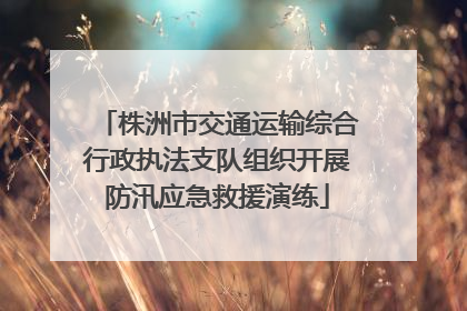 株洲市交通运输综合行政执法支队组织开展防汛应急救援演练