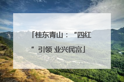 桂东青山：“四红”引领 业兴民富