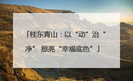 桂东青山：以“动”治“净” 擦亮“幸福底色”