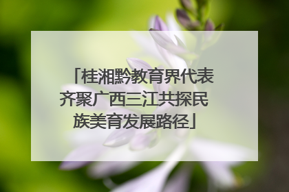 桂湘黔教育界代表齐聚广西三江共探民族美育发展路径