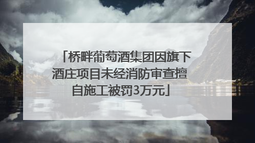 桥畔葡萄酒集团因旗下酒庄项目未经消防审查擅自施工被罚3万元
