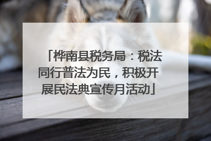 桦南县税务局：税法同行普法为民，积极开展民法典宣传月活动
