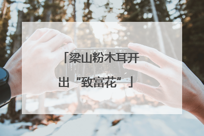 梁山粉木耳开出“致富花”