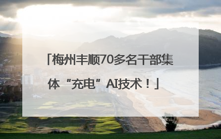 梅州丰顺70多名干部集体“充电”AI技术！