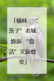 榆林：“落子”老城焕新 “盘活”文旅蝶变