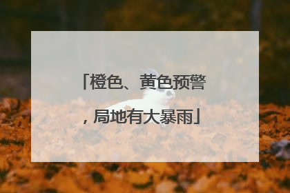 橙色、黄色预警，局地有大暴雨