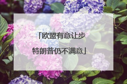 欧盟有意让步 特朗普仍不满意