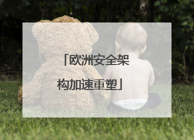 欧洲安全架构加速重塑