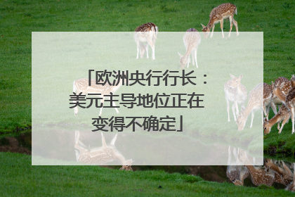 欧洲央行行长：美元主导地位正在变得不确定