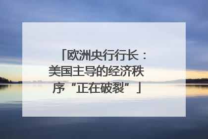欧洲央行行长：美国主导的经济秩序“正在破裂”