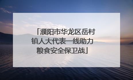 濮阳市华龙区岳村镇人大代表一线助力粮食安全保卫战