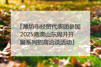潍坊市经贸代表团参加2025港澳山东周并开展系列招商洽谈活动