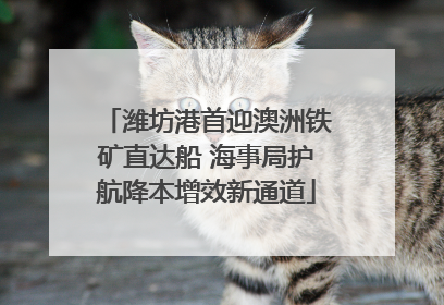 潍坊港首迎澳洲铁矿直达船 海事局护航降本增效新通道