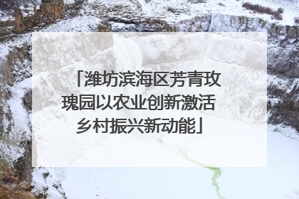 潍坊滨海区芳青玫瑰园以农业创新激活乡村振兴新动能