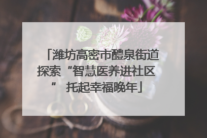 潍坊高密市醴泉街道探索“智慧医养进社区” 托起幸福晚年