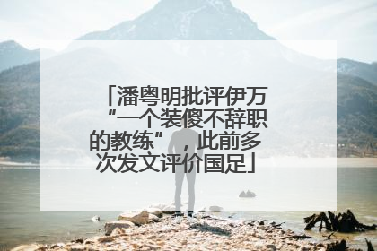 潘粤明批评伊万“一个装傻不辞职的教练”，此前多次发文评价国足