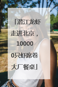 潜江龙虾走进北京，100000只虾席卷大厂餐桌