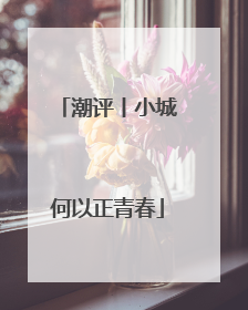 潮评丨小城何以正青春