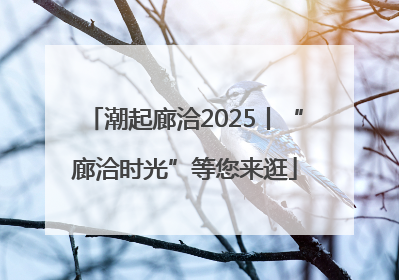 潮起廊洽2025丨“廊洽时光”等您来逛