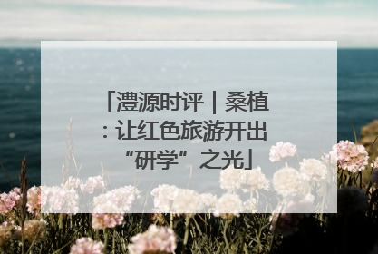 澧源时评｜桑植：让红色旅游开出“研学”之光