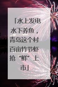 水上发电水下养鱼，青岛这个村百亩竹节虾抢“鲜”上市
