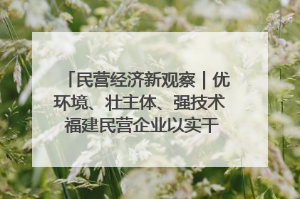 民营经济新观察｜优环境、壮主体、强技术 福建民营企业以实干担当聚势谋进