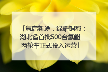 氢启新途，绿耀铜都：湖北省首批500台氢能两轮车正式投入运营