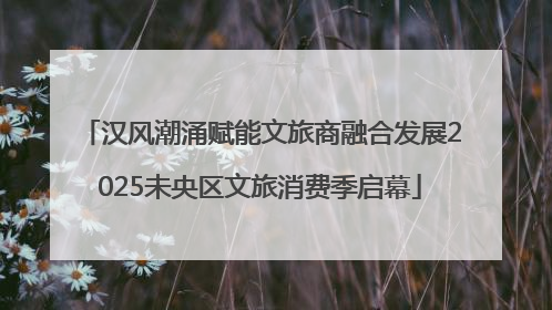 汉风潮涌赋能文旅商融合发展2025未央区文旅消费季启幕