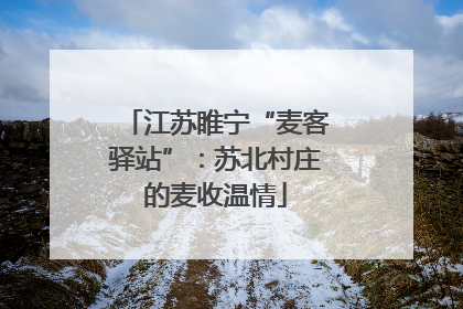 江苏睢宁“麦客驿站”：苏北村庄的麦收温情