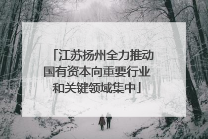 江苏扬州全力推动国有资本向重要行业和关键领域集中