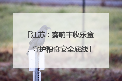 江苏：奏响丰收乐章，守护粮食安全底线