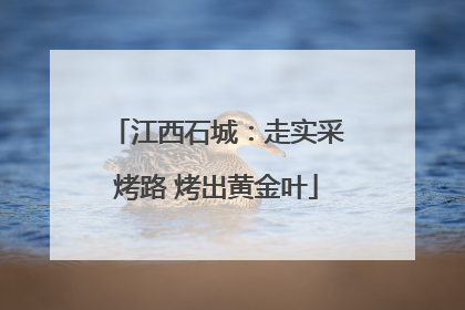 江西石城：走实采烤路 烤出黄金叶