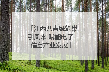 江西共青城筑巢引凤来 赋能电子信息产业发展