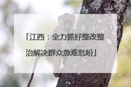 江西：全力抓好整改整治解决群众急难愁盼