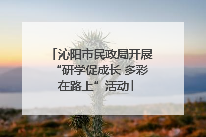 沁阳市民政局开展“研学促成长 多彩在路上”活动