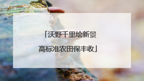 沃野千里绘新景 高标准农田保丰收