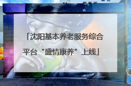 沈阳基本养老服务综合平台“盛情康养”上线
