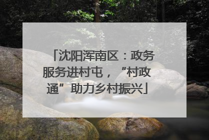 沈阳浑南区：政务服务进村屯，“村政通”助力乡村振兴