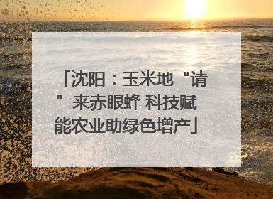 沈阳：玉米地“请”来赤眼蜂 科技赋能农业助绿色增产