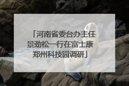 河南省委台办主任景劲松一行在富士康郑州科技园调研