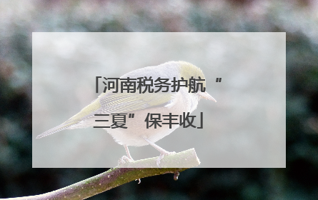 河南税务护航“三夏”保丰收